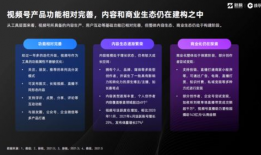 视频.,揭秘XX领域的创新与突破